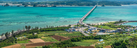 沖縄県外にお住まいでもご相談可能<